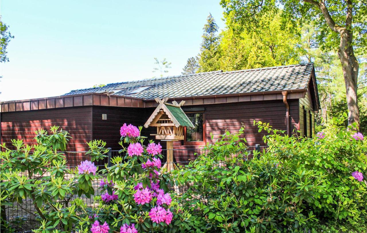 Pet Friendly Home In Haren With Sauna Dankern Eksteriør bilde
