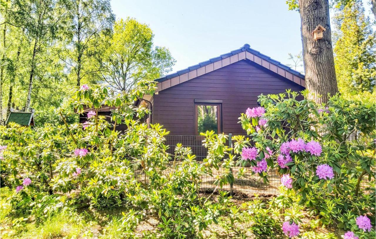 Pet Friendly Home In Haren With Sauna Dankern Eksteriør bilde